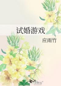 试婚游戏